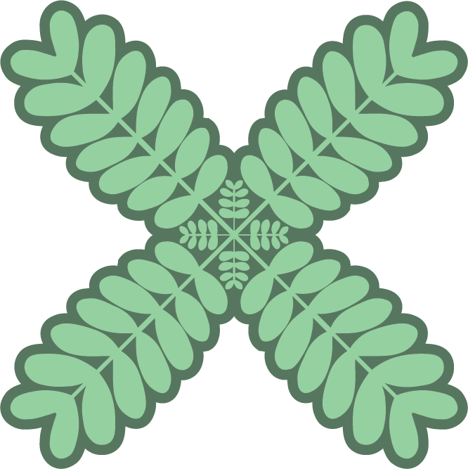 Kupukupu
