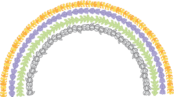 Lei Rainbow